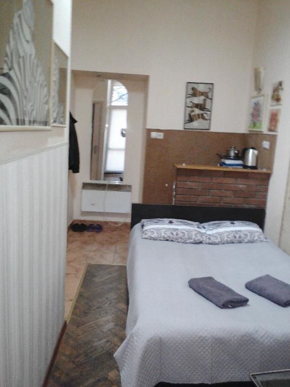 Апартаменты Shota Rustaveli Apartment Львов-14