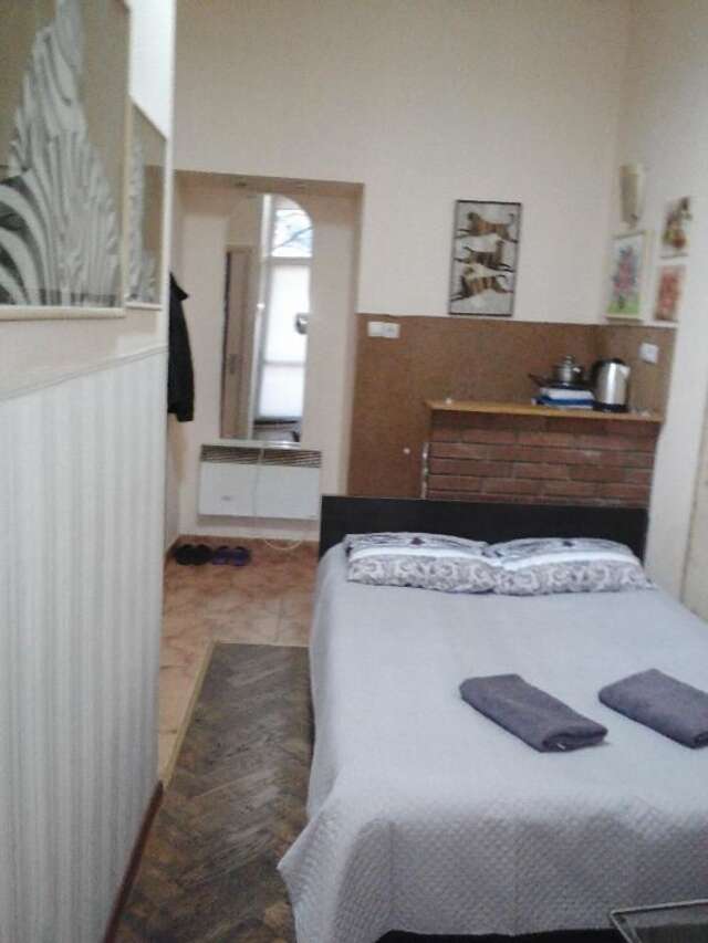 Апартаменты Shota Rustaveli Apartment Львов-13